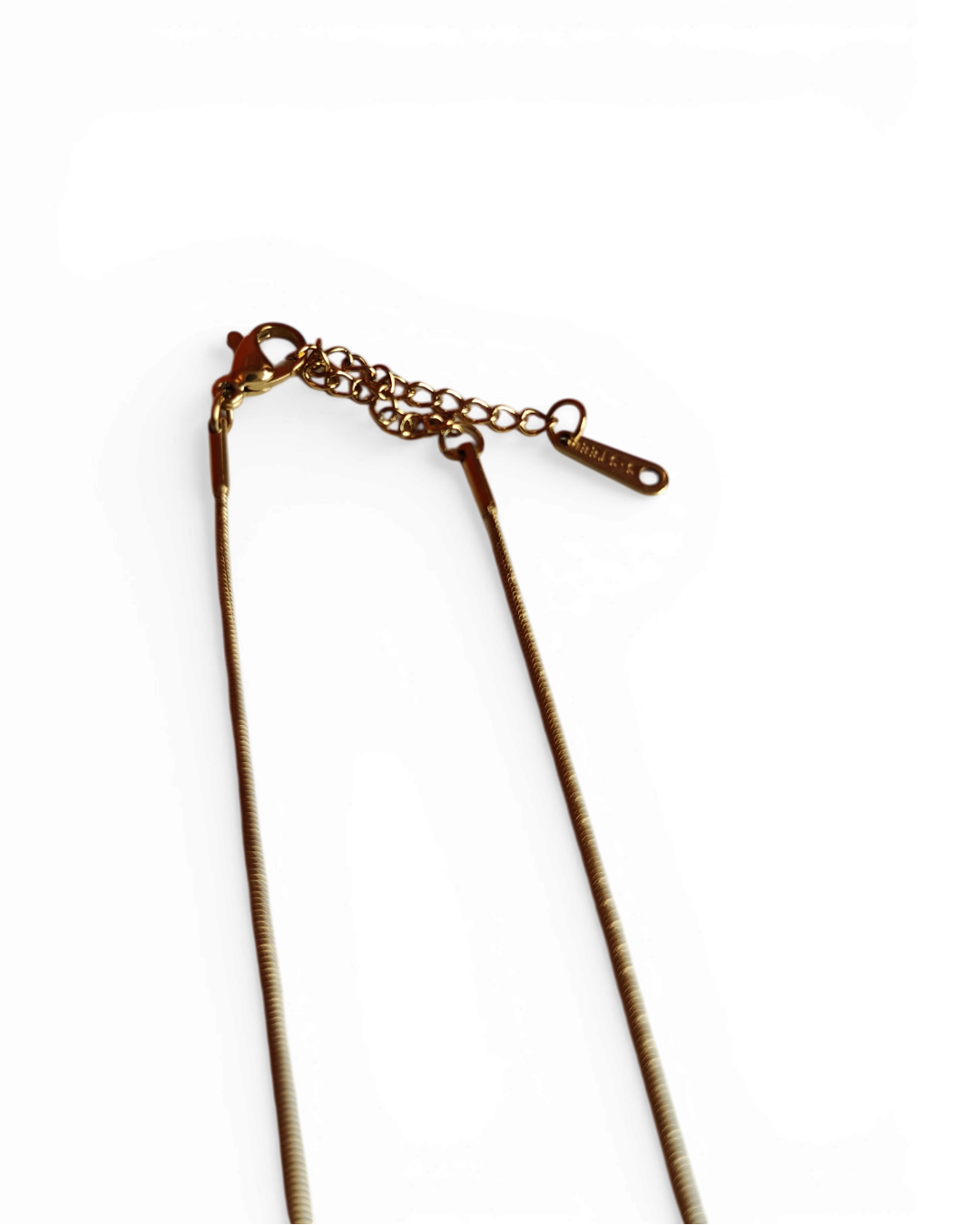 Collier "Ressuscité" en acier inoxydable